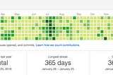 A Year of Code