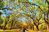 Stumbling into Savannah, Georgia