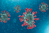Investigation: Coronavirus