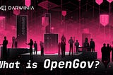 What is OpenGov?