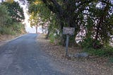 A road lined with trees leading to the Pacific Ocean with a sign on the side of the road saying, “Drive Slowly.”