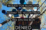 Breaking News: Federal Court Refuses Mountain Valley Pipeline Request to Remove Tree Sitters in…