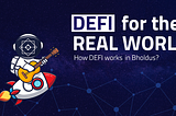 BHOLDUS’s DeFi Ecosystem