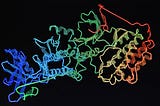 Entangling Protein Through Quantum Simulations