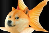 魚狗幣操作教學