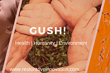 GUSH: The Future of Non-Toxic Paint