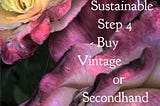 So moving on to Step 4 this week and it’s a no brainer that buying vintage or secondhand is a…