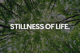 The stillness of life will either make you depressed or more active.