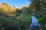 This Week’s Walks