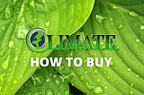 How To Buy Climate Token