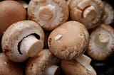 mushroom benefits in hindi
