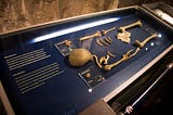 A Nobel-Worthy Look at Ancient Genomes