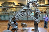 Unearthing the Megatryum: Ancient Giant Sloth Bear Discovery and Human Interaction