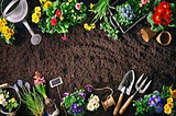 7 Gardening Tips for Beginners