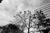 Contax G 系列鏡頭：G45, G28, G90