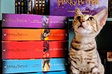 Harry Potter — Book Series Review