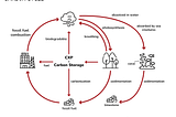CXP and Carbon Sequestration