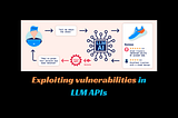 Exploiting vulnerabilities in LLM APIs