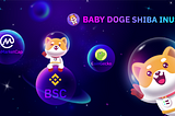 SHIBAINU’s ready to be listed on Binance Smart Chain