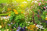 A beautiful garden
