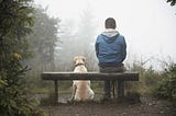 Why Dogs are simply Happier: Lessons from Man’s Best Friend