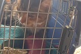 Mental health struggles and grieving a pet