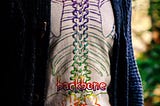 backbone