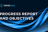 Mindsync progress report and objectives