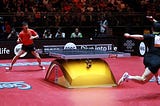 What Table Tennis rackets do professional use?