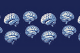 Fortitude, Self-Discipline, and Fascination with the Anterior Mid-Cingulate Cortex