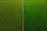 Los datos de la tierra: la revolución digital del agro