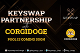 key_swap X Corgidoge