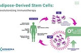 Adipose-Derived Stem Cells