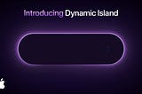 DynaTimer With DynamicIsland 🤩