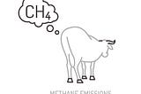 COP27: Making Methane Climate-Friendly Isn’t Just Hot Air