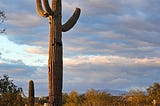 A saguaro cactus with multiple arms jutting out is framed by clouds of silver and different shades of blue.