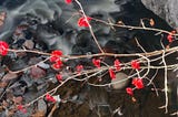 The Wisdom of December