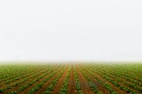Reinventando o crédito agrícola através de dados