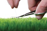 Why we need perfectionism to be extraordinary