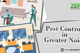 The Importance of Regular Pest Inspections in Greater Noida Properties