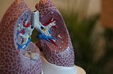 Could breathing steroids help you with COVID-19?