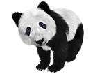 The easier way to handling large files in pandas