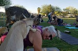 Chunky me enjoying goat yoga