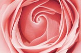 “It’s okay to bloom late in life.”