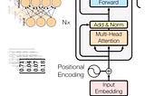 “The Rise of Transformers: A Journey through Mathematics and Model Design in Neural Networks”