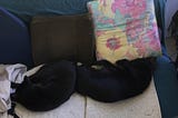 Two black cats sleeping together