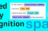 Named Entity Recognition (NER) | Custom Advanced NLP Tool using spaCy