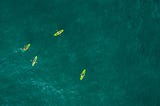 Could Your Relational Attachment Style Impact Business Development?