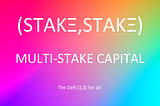 Welcome to Multi-Stake Capital