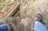 Pickles & Rock Climbing